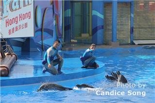 Гонконгский Океан Парк