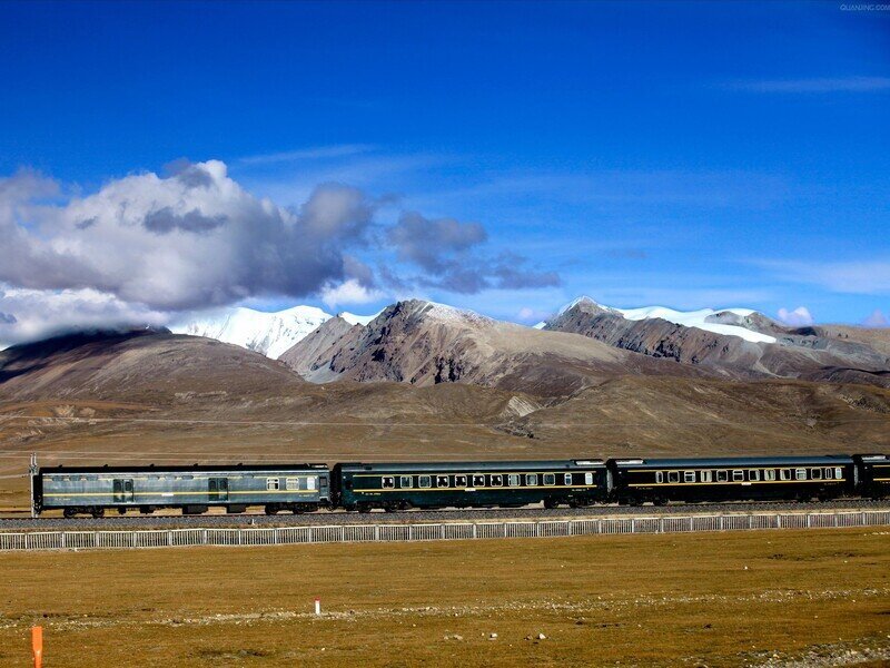 青蔵鉄道ツアー