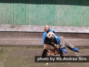 Programma di Volontariato