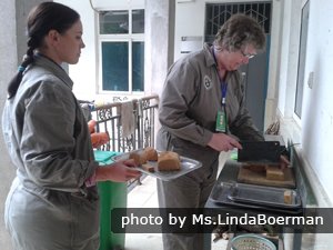 En train de faire des gâteaux pour les pandas