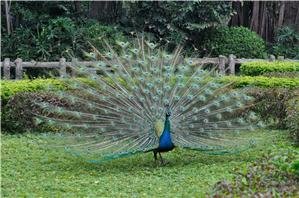 Guangzhou Zoo