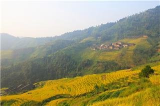 Террасы в Лунцзи