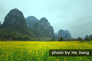 Top Places You Should Visit in China's Warm Spring