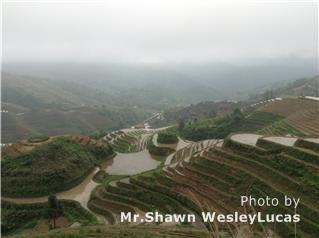 龍勝棚田