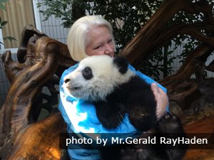 Notre invité prend une photo avec un beau panda géant