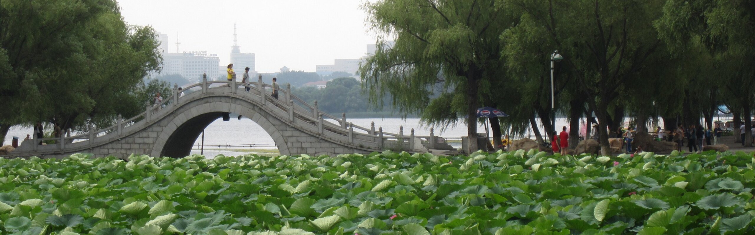 Changchun Travel Guide - How to Plan a Trip to Changchun