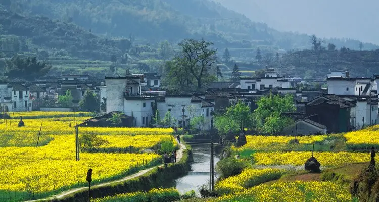 Wuyuan