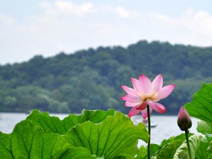 West Lake