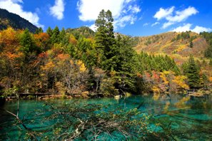 Jiuzhaigou Travel Guide How To Prepare Your Trip To - 