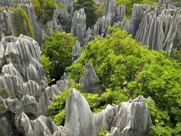 Kunming Steinwald