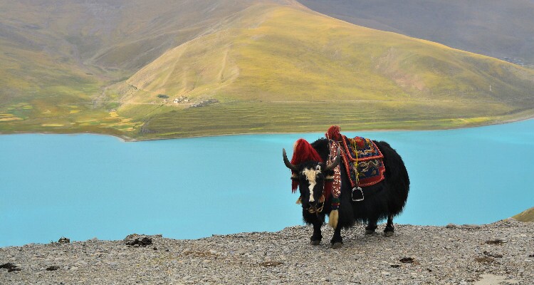 lake namtso in tibet