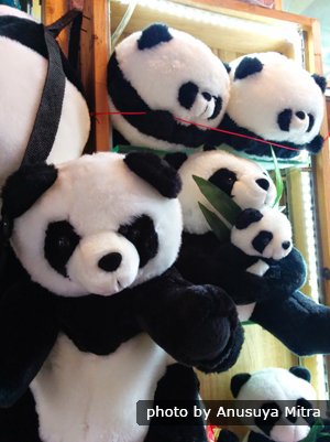 yoyo panda home bargains