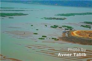 Xiapu Mudflats