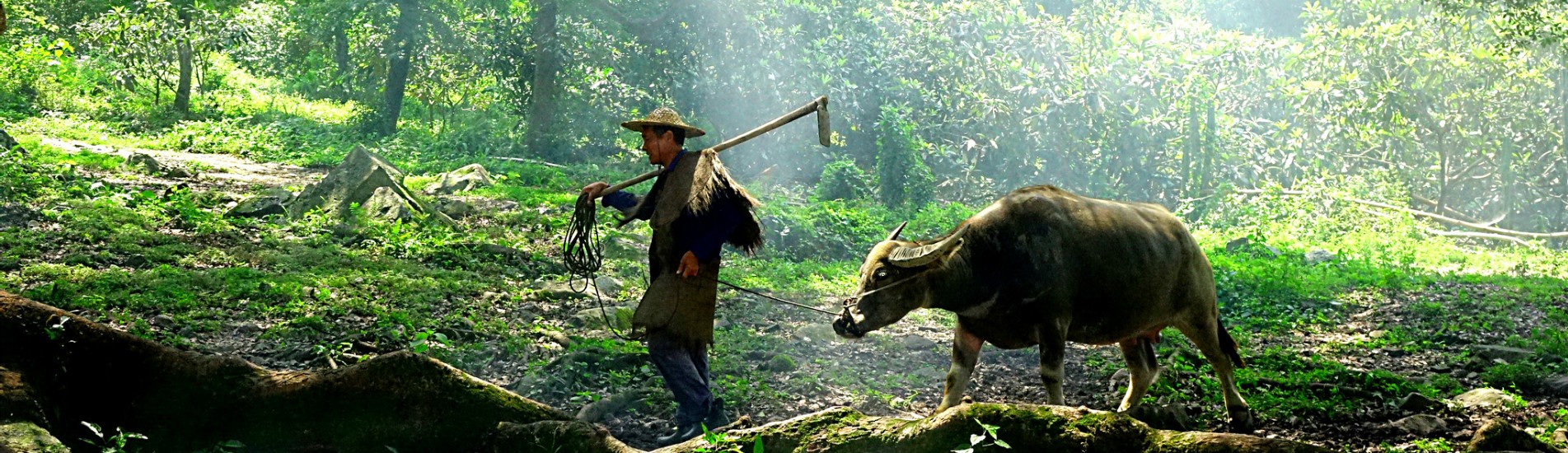 L'Essentiel de Guilin en 3 Jours