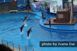 Ocean Park in Hong Kong