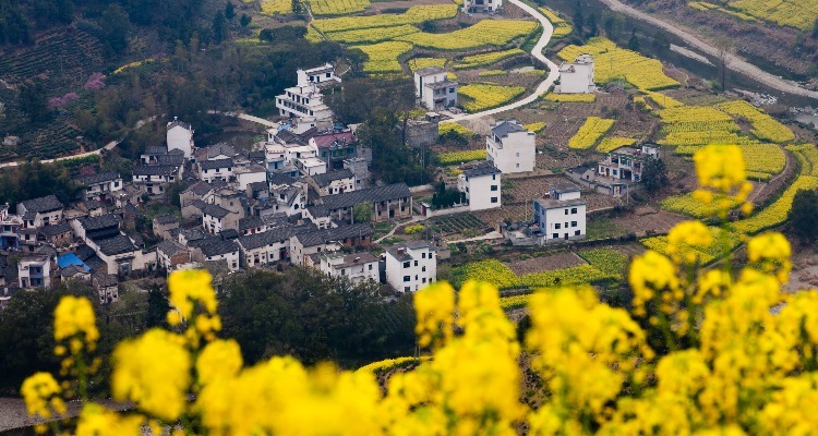 Wuyuan