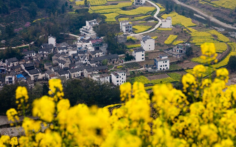 Wuyuan Travel Guide Visit Most Beautiful Countryside