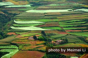 Spring Scenery in Dongchuan