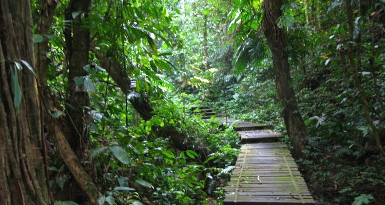 Xishuangbanna Tropical Botanical Garden