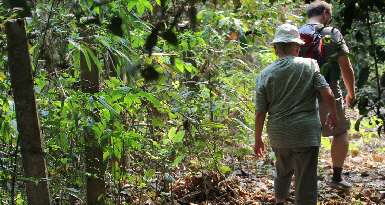 Hiking in Tropical Botanical Garden