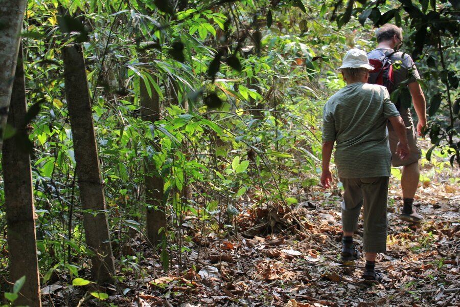 Jardin botanique tropical de Menglun