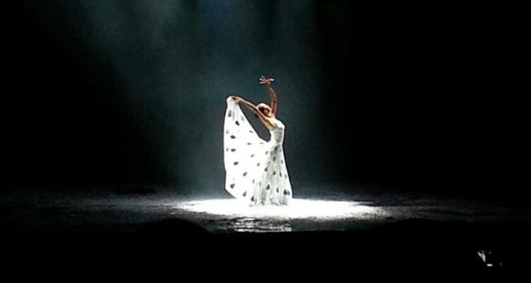 Yunnan Impression Show