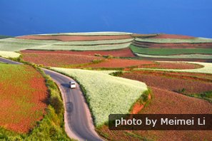 Dongchuan Red Land
