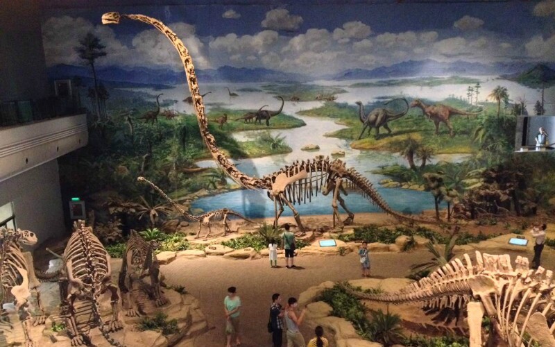 Zigong Dinosaur Museum 