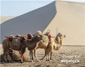 The Silk Road at Dunhuang