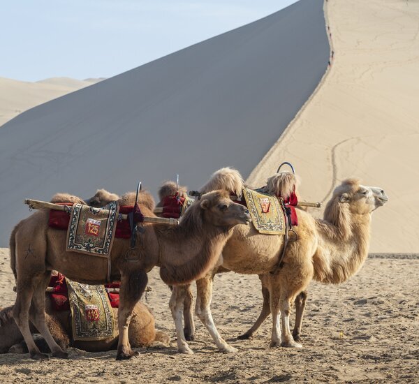  Singing Sand Mountains