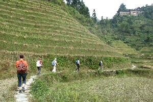 Hikingn amoung Longji Terraced Fields