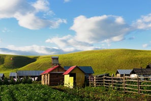 Hulunbuir Grassland