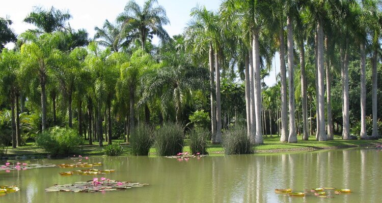 Xishuangbanna Tropical Botanical Garden