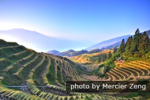 longji terraced fields