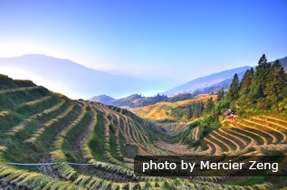 Longji risaie a terrazze