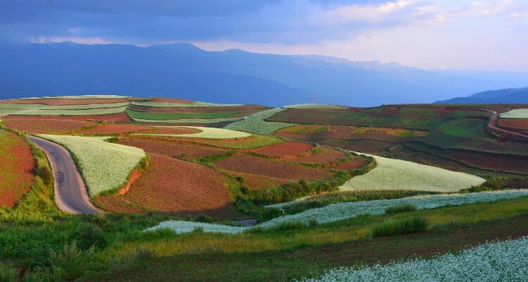 Dongchuan Red Land