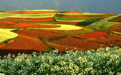 dongchuan terreno rosso