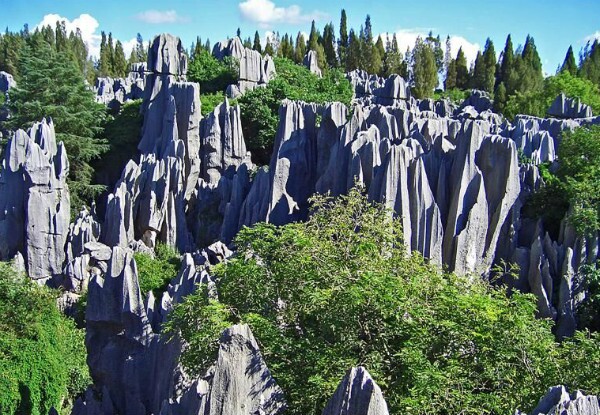 stone forest