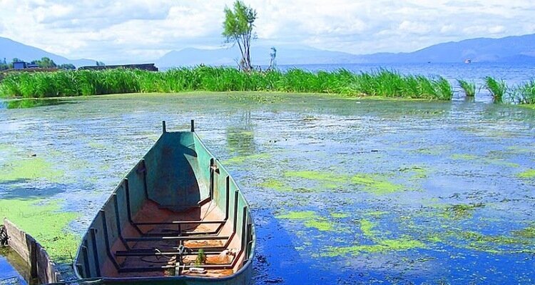 Blue and verdant Erhai Lake