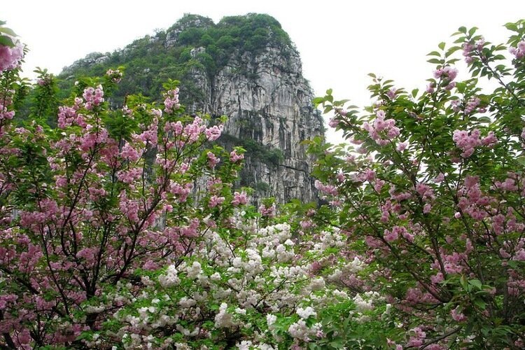 Парк Наньси-шань