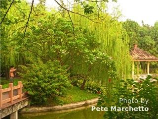 Traditional Chinese garden