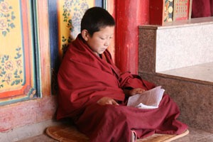lama in Kumbum Monastery