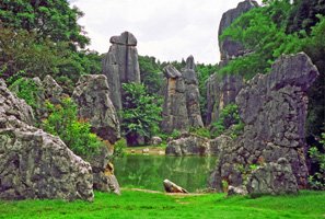 Stone Forest in Spring