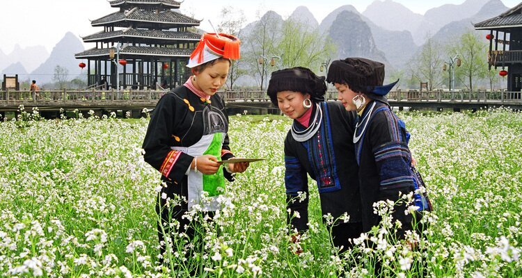 Three Zhuang girls wearing ethnic minority costumes playing among the flowers