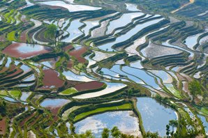 terrasse de Yuanyang