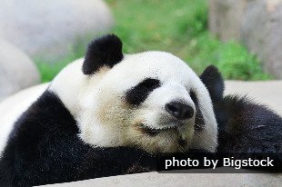 excurción en bicicleta