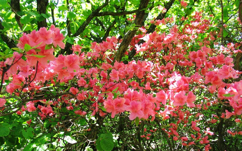 Best Places to Visit in May in China