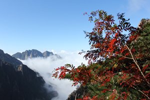 Les couleurs d'automne des montagnes jaunes