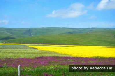 Il Tempo Atmosferico in Luglio