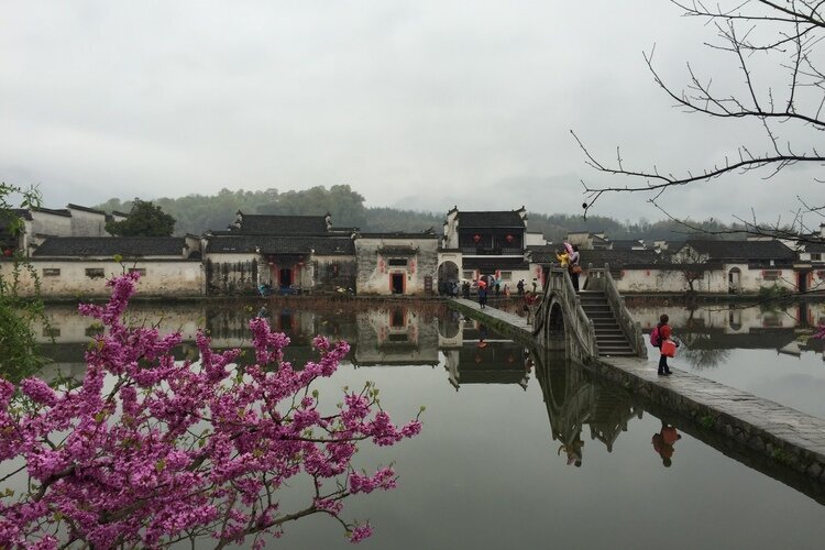 Viaje de Paisaje Natural